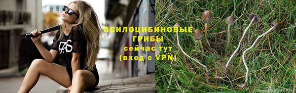 таблы Алексеевка